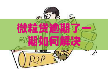 微粒贷逾期了一期如何解决