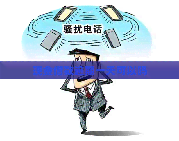 现金借款逾期一天可以吗