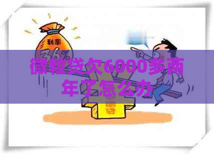 微粒贷欠6000多两年了怎么办
