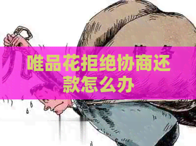 唯品花拒绝协商还款怎么办