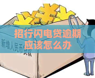 招行闪电贷逾期应该怎么办