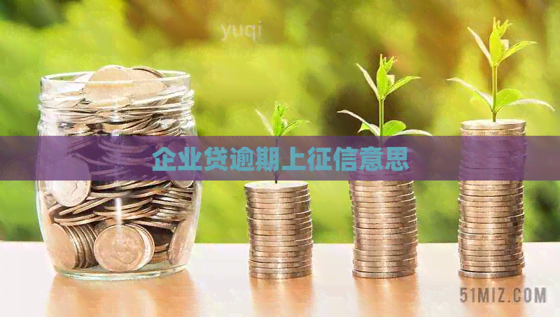 企业贷逾期上意思