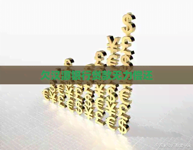 欠汉源银行贷款无力偿还