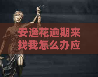 安逸花逾期来找我怎么办应该找谁帮忙解决