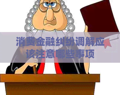 消费金融纠纷调解应该注意哪些事项