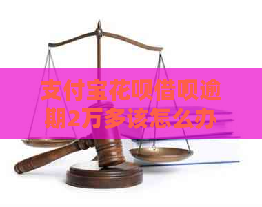 支付宝花呗借呗逾期2万多该怎么办