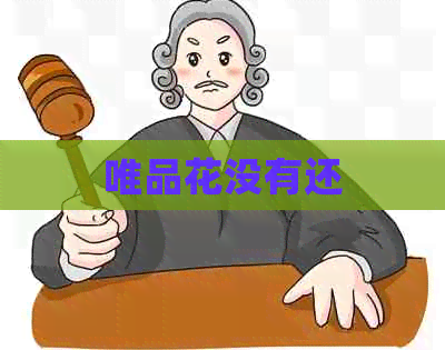唯品花没有还