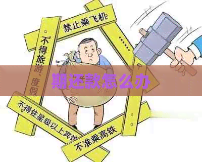 期还款怎么办