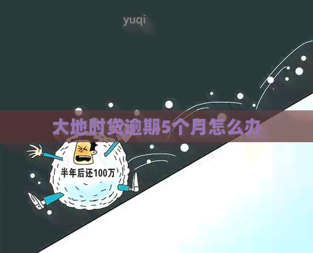 大地时贷逾期5个月怎么办