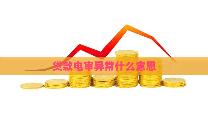 贷款电审异常什么意思