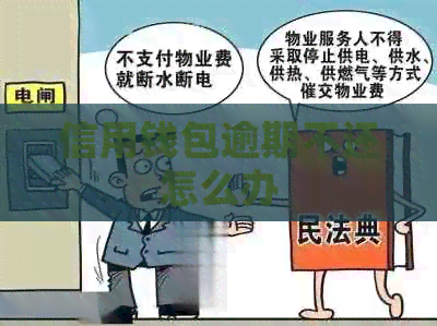 信用钱包逾期不还怎么办