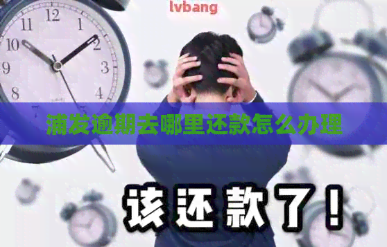 浦发逾期去哪里还款怎么办理