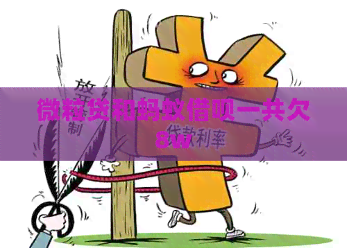 微粒贷和蚂蚁借呗一共欠8w