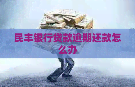 民丰银行贷款逾期还款怎么办