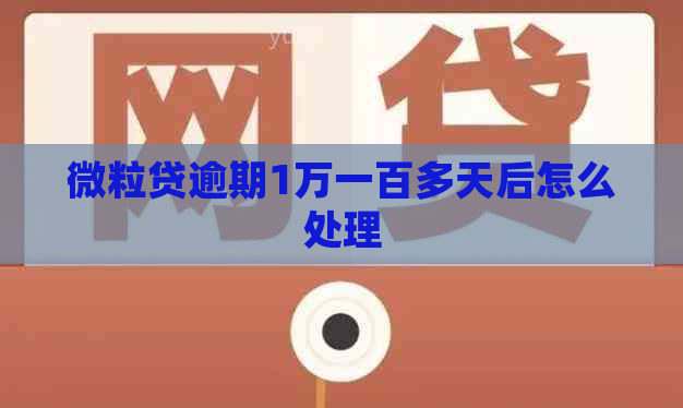 微粒贷逾期1万一百多天后怎么处理