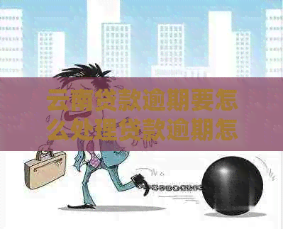 云南贷款逾期要怎么处理贷款逾期怎么办理