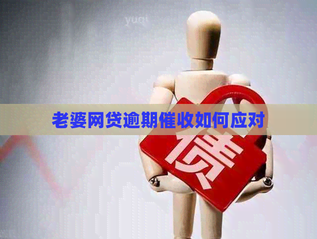 老婆网贷逾期如何应对