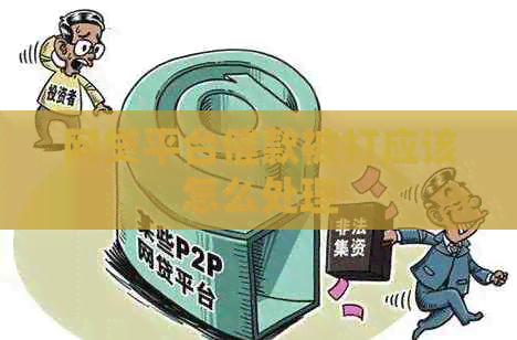 网贷平台催款被打应该怎么处理