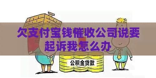 欠支付宝钱公司说要起诉我怎么办