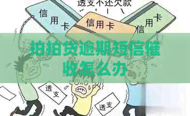 逾期短信怎么办