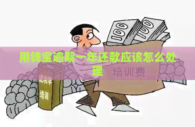 用钱宝逾期一年还款应该怎么处理