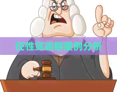 任性贷逾期案例分析