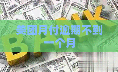 美团月付逾期不到一个月
