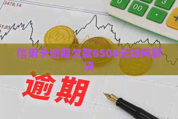 信用卡逾期欠款6500元如何解决