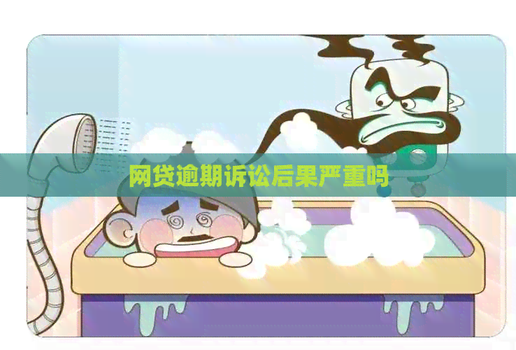 网贷逾期诉讼后果严重吗