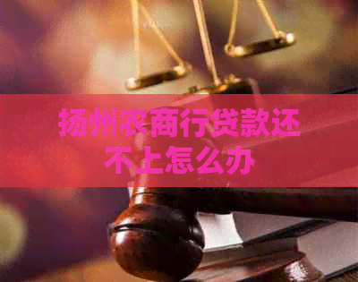 扬州农商行贷款还不上怎么办