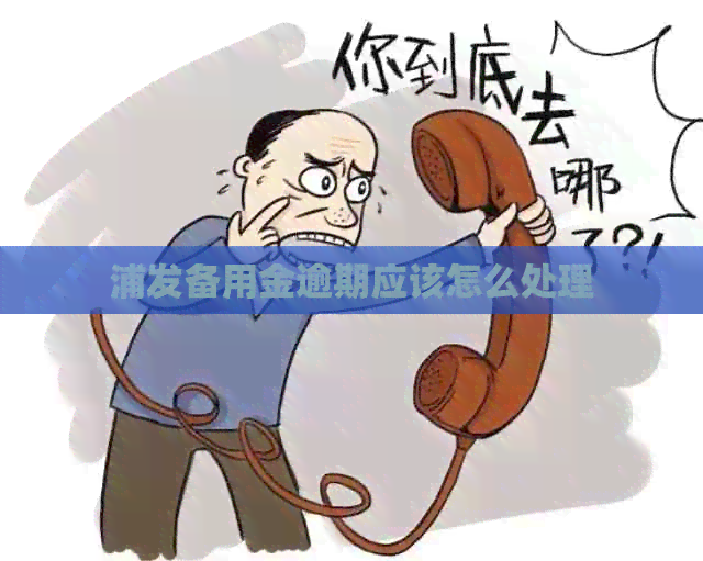 浦发备用金逾期应该怎么处理