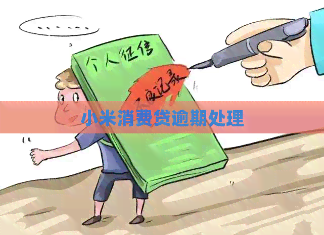 小米消费贷逾期处理