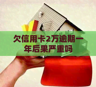 欠信用卡2万逾期一年后果严重吗