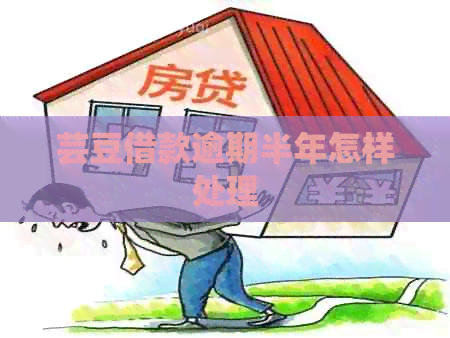 芸豆借款逾期半年怎样处理