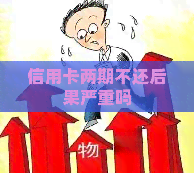 信用卡两期不还后果严重吗