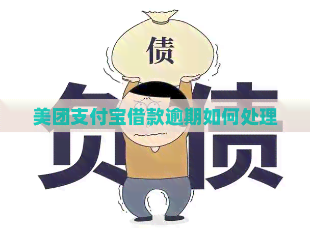 美团支付宝借款逾期如何处理