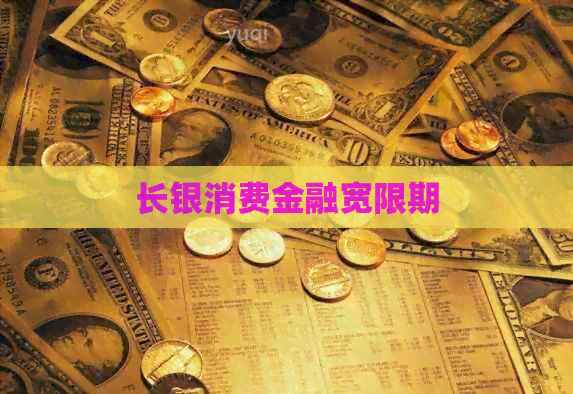 长银消费金融宽限期