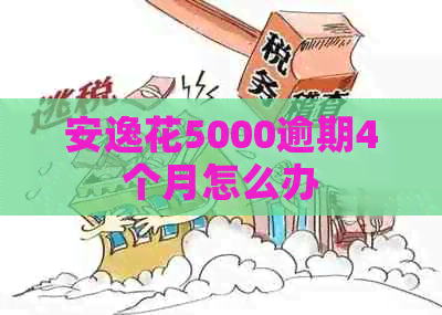 安逸花5000逾期4个月怎么办