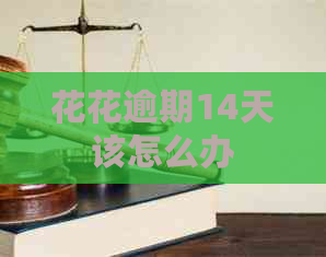 花花逾期14天该怎么办