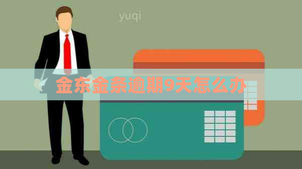 金东金条逾期9天怎么办