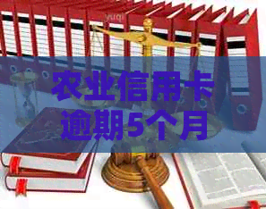 农业信用卡逾期5个月了