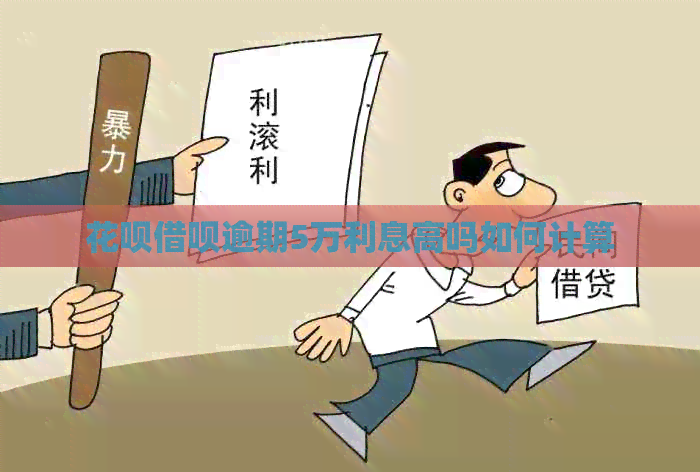 花呗借呗逾期5万利息高吗如何计算