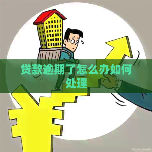 贷款逾期了怎么办如何处理
