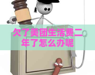 欠了美团生活费二年了怎么办呢