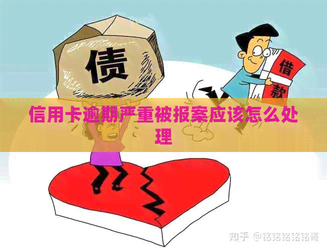 信用卡逾期严重被报案应该怎么处理