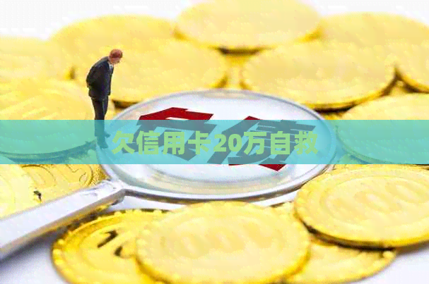 欠信用卡20万自救