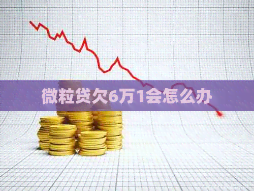 微粒贷欠6万1会怎么办