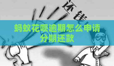 蚂蚁花呗逾期怎么申请分期还款