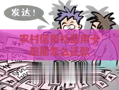 农村信用社信用卡逾期怎么还款