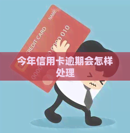 今年信用卡逾期会怎样处理
